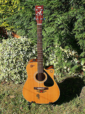 Yamaha Guitar